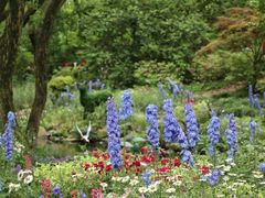 -上海共青森林公园