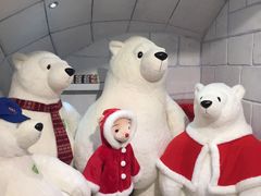 -济州岛泰迪熊博物馆