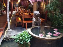-三道苗苗鱼·美蛙黄辣丁(八里店)