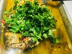 沙巴鱼-天怡·鱼工厂(梅溪湖店)