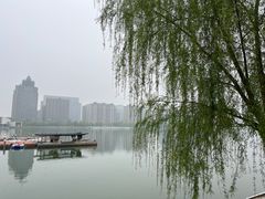 -金沙湖公园