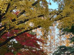 -苏州大学(天赐庄校区)