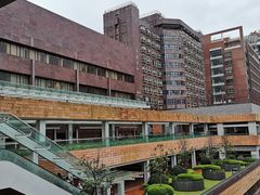 -香港大学