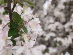 -天津东丽湖风景区