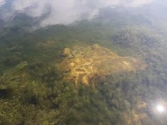 -海南热带雨林国家公园吊罗山景区