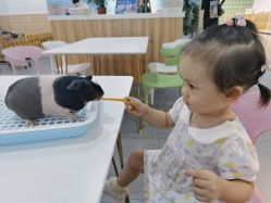 -Moni星球萌宠·小马宝莉·灵蛇·高端高阶全萌宠互动体验俱乐部(红豆国际广场店)