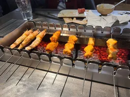 奥**翅