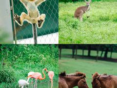 -杭州野生动物世界