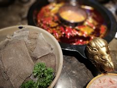 -渝大狮毛肚老火锅(遂宁万达店)