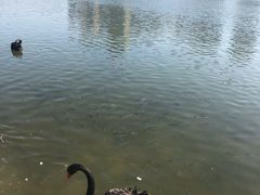 -五缘湾湿地公园