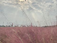 -花博汇(知音花月夜)