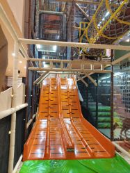 -卡通尼·Safari非洲探索乐园·生日会(金桥国际商业广场店)