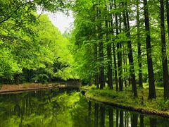 -上海共青森林公园