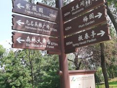 -北京西山国家森林公园