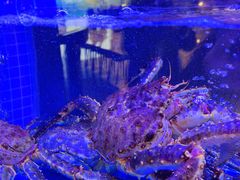-喜记顺德菜(南昌万象城店)