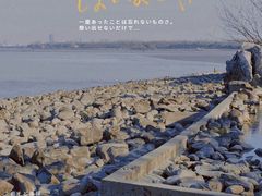 -上海吴淞炮台湾国家湿地公园