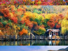 -九如山休闲旅游度假区