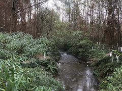 -桤木河湿地公园