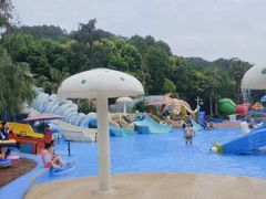 -重庆海昌加勒比海水世界