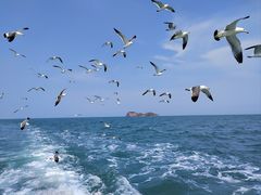 -海驴岛(荣成市)