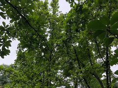 -西安大雁塔科技大学地铁站亚朵酒店