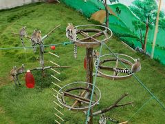 -西霞口神雕山野生动物世界