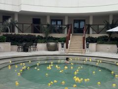 -苏州湾王焰温泉度假酒店