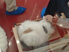 -天虹购物中心(深圳龙华店)