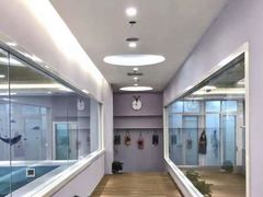 -水贝乐国际水育儿童游泳中心(新业广场店)