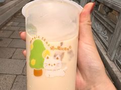 -猫的魔法密林(衣裳街店)