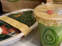 -油梨树AVOCADO TREE(顺义新国展店)
