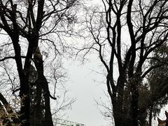 -西安碑林博物馆
