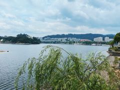 -绿城千岛湖喜来登度假酒店