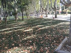 -品腐记·豆腐王朝(老门东总店)