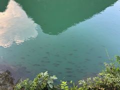 -靖西鹅泉风景区