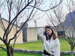 -美丽洲堂