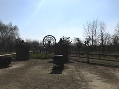 -溱湖国家湿地公园