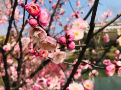 -安徽工业大学(秀山校区)