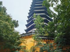 -红梅公园
