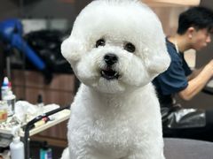 -宠宠熊宠物美容(星湖街店)