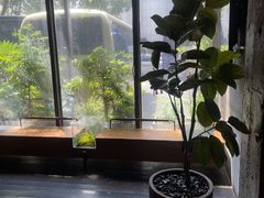 -外婆家(杭州马塍店·杭帮菜名店)