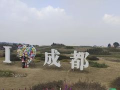 -空港花田景区