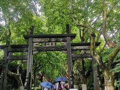 -杭州黄龙洞
