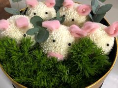 -花到家(富贵鸟花艺行)