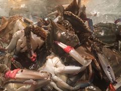 -富力希尔顿酒店·地阔自助餐厅