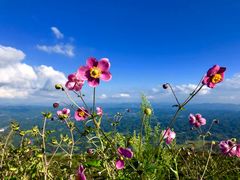 -齐岳山