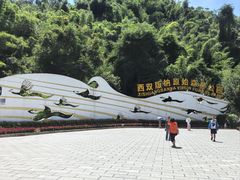 -西双版纳原始森林公园