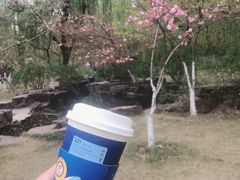 -范蠡湖公园