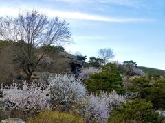 -北京西山国家森林公园