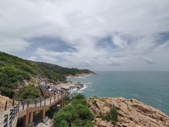 -广东惠东海龟国家级自然保护区